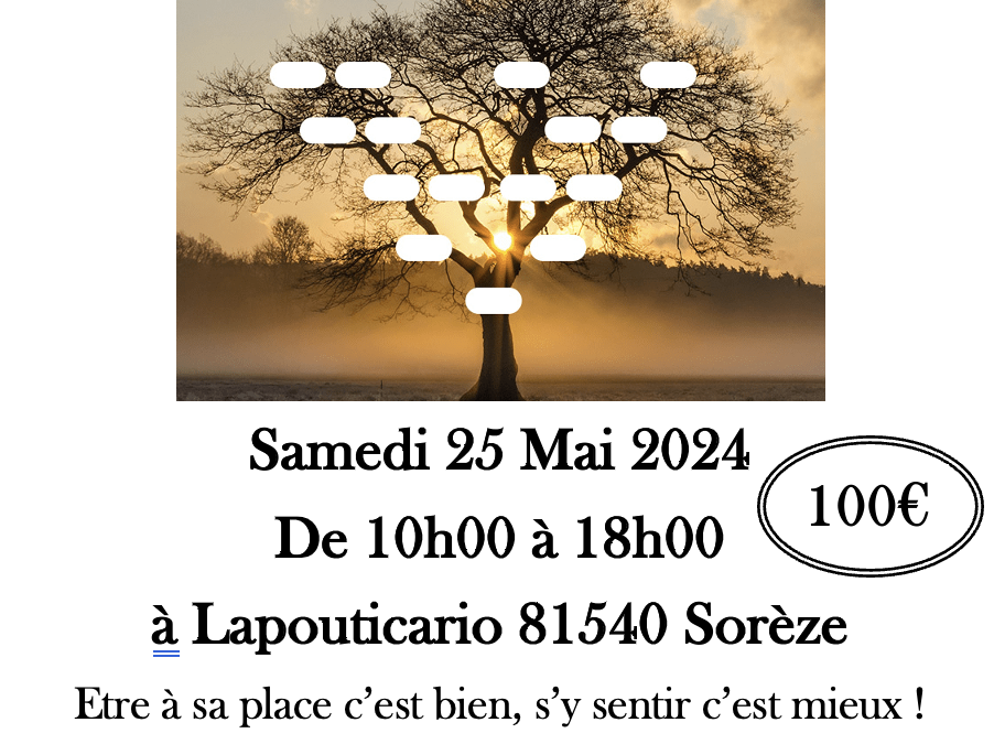 Constellation Familiale en Groupe le 25 mai 2024 à Lapouticario de Sorèze